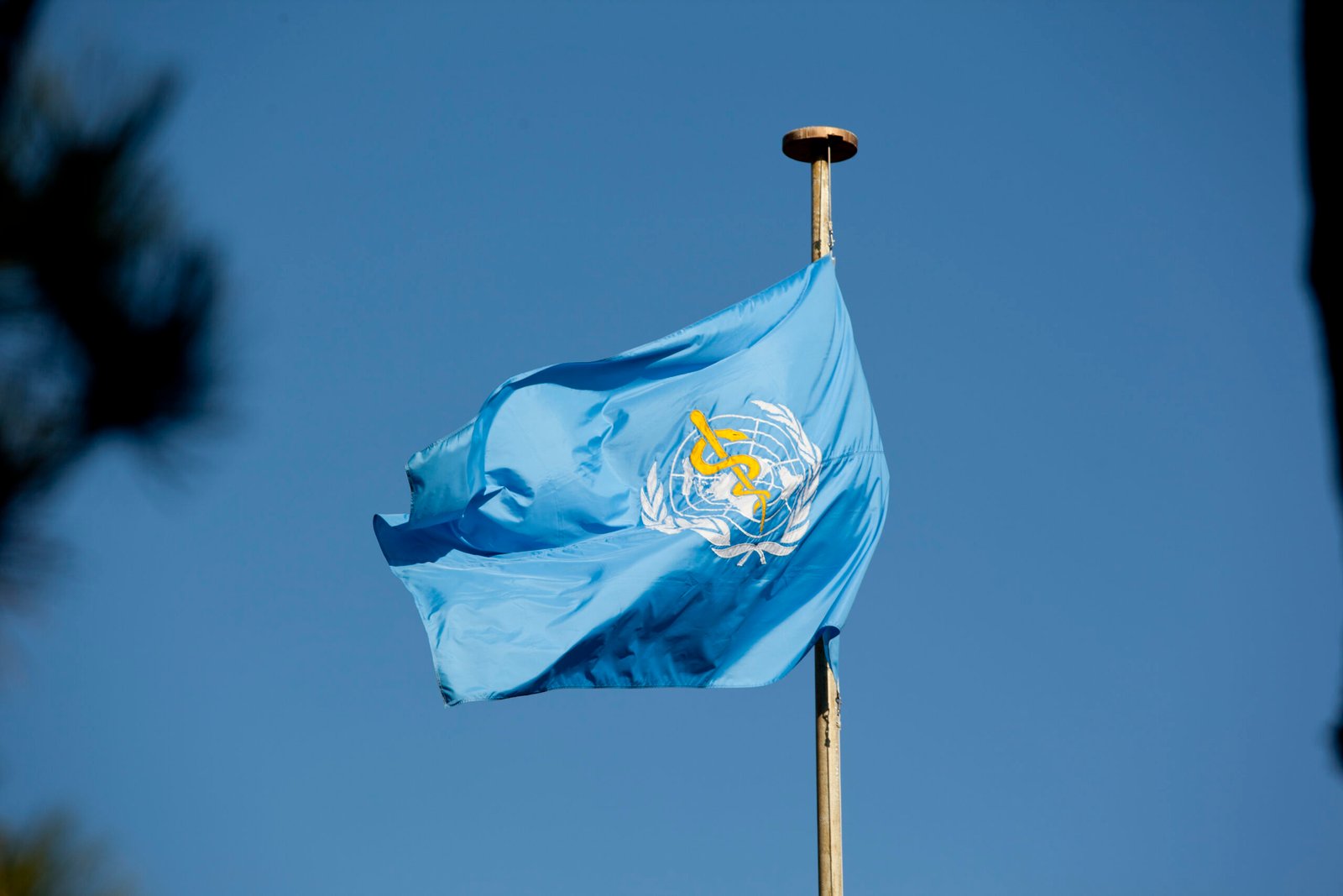 World Health Organization Flag scaled