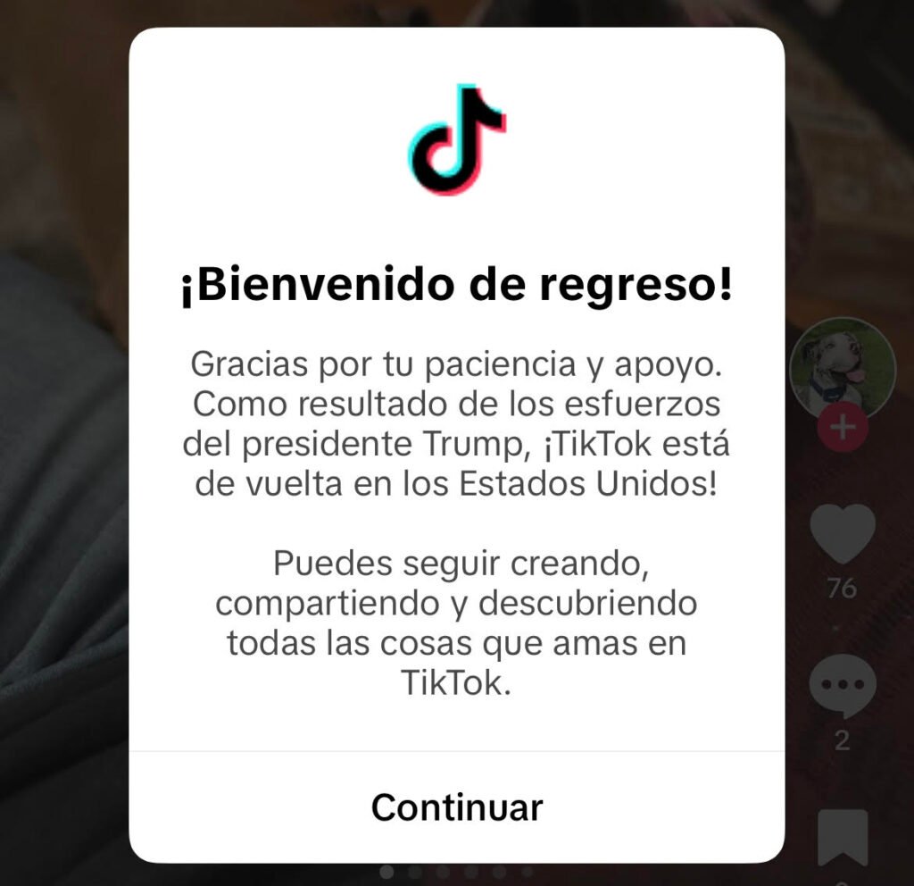 tiktok back